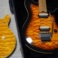 再改訂版 PEAVEY EVH WOLFGANG アメリカ製と韓国製の見分け方！ その他いろいろの話 - ヒデェVH ギターコレクション