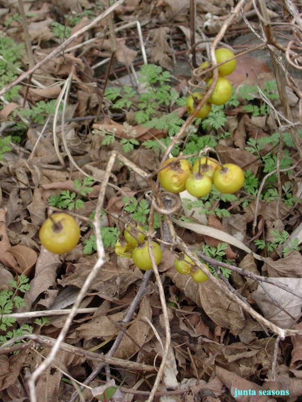 Dscn1107 Dscn1107