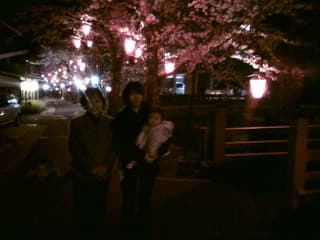 夜桜見物 - 船の好きな親父のブログ 沿岸クルージング