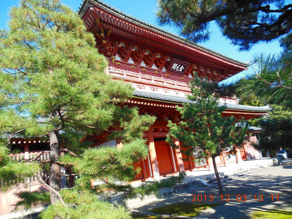 大徳寺高桐院の散り紅葉 観てきました 摂津国老朗おじさんのスローな日々