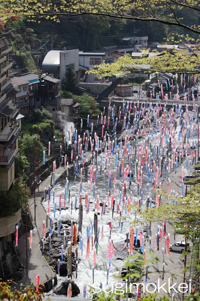 <b>杖立温泉</b> 鯉のぼり祭り - 九州温泉カメラ ブログ
