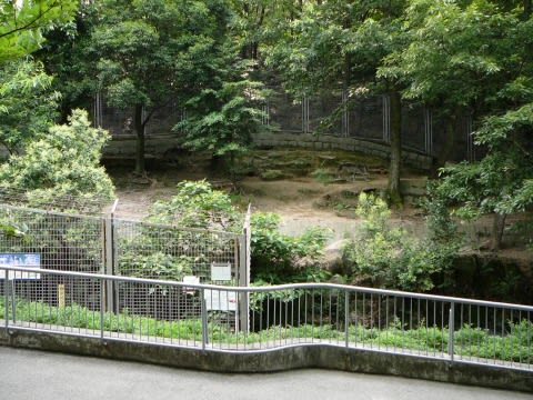 <b>名古屋市</b>東山動物園のオオカミ舎改修計画