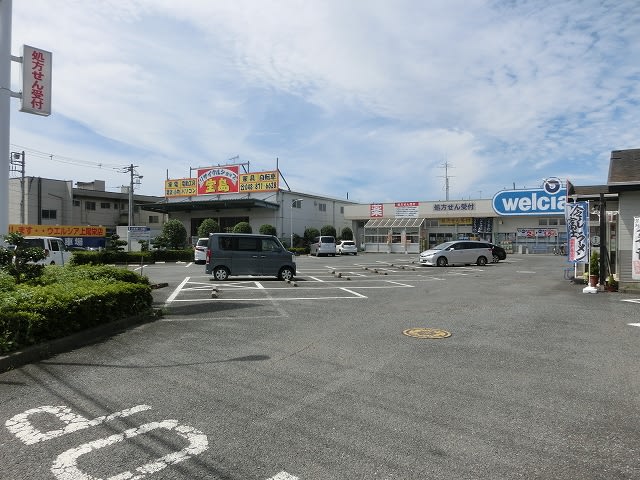 北区宮原町から上尾市愛宕神社まで 咲いた万歩