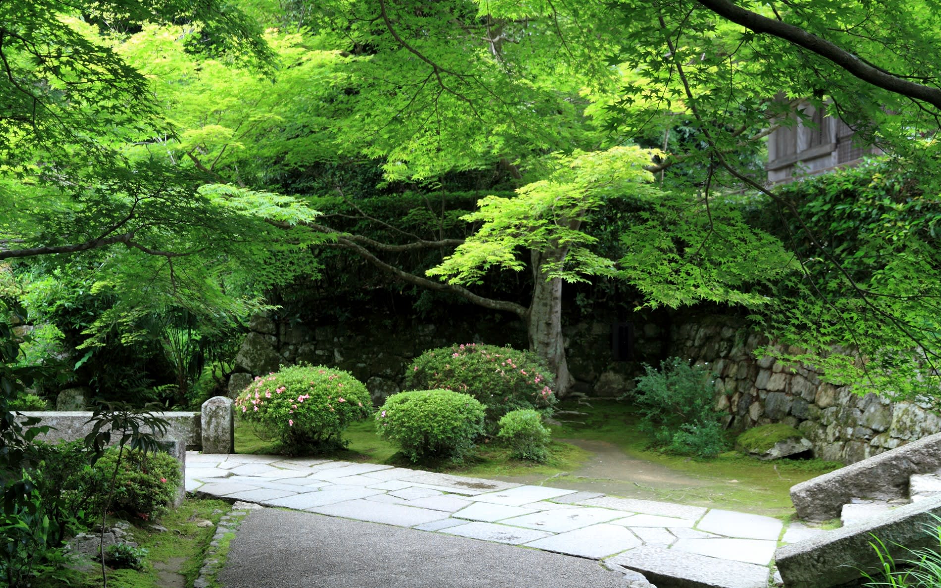 12年濃緑の京都 宝泉院の壁紙 計42枚 壁紙 日々駄文