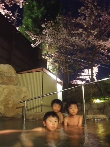 貸切露天家族風呂「桜・SAKURA」の桜が見頃をむかえています♪