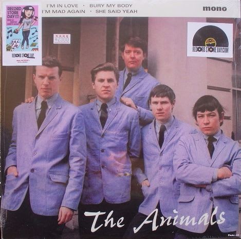 animals
