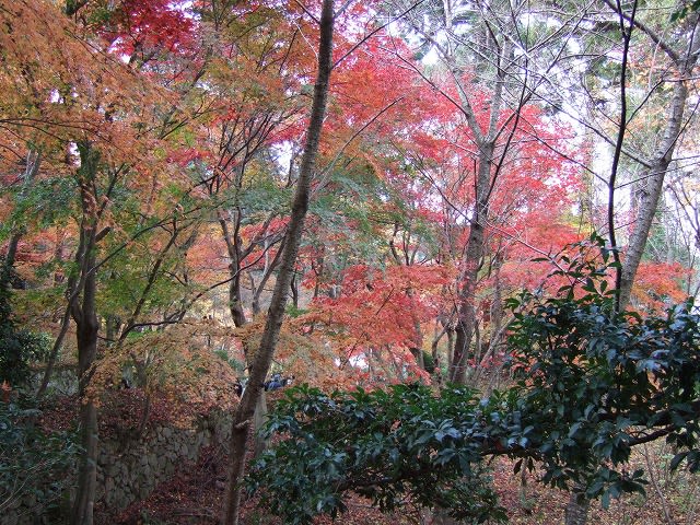 2006.12.2　金剛輪寺西谷堂 (4)（湖東三山・金剛輪寺の紅葉）名所庭園へ