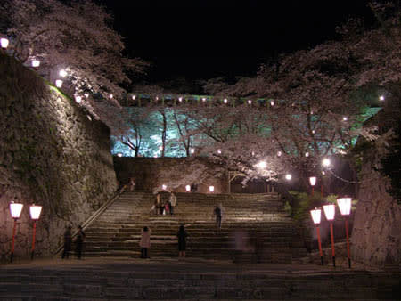 鶴山公園夜桜バスツアー