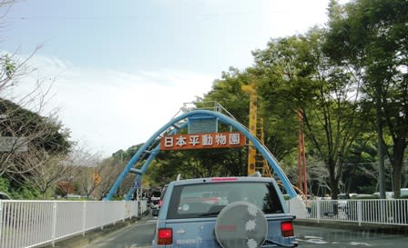 <b>日本平動物園</b>シリーズ１ - 富士山のふもと裾野市のHIDEKI感激！！ブログ