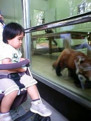 <b>千葉市動物公園</b>へ - まなパパママ日記
