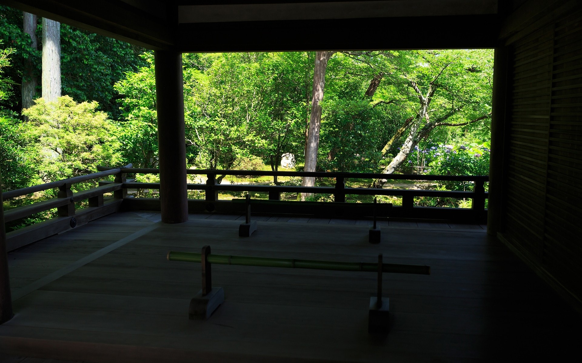 16年夏の京都 法金剛院の壁紙その1 計14枚 壁紙 日々駄文