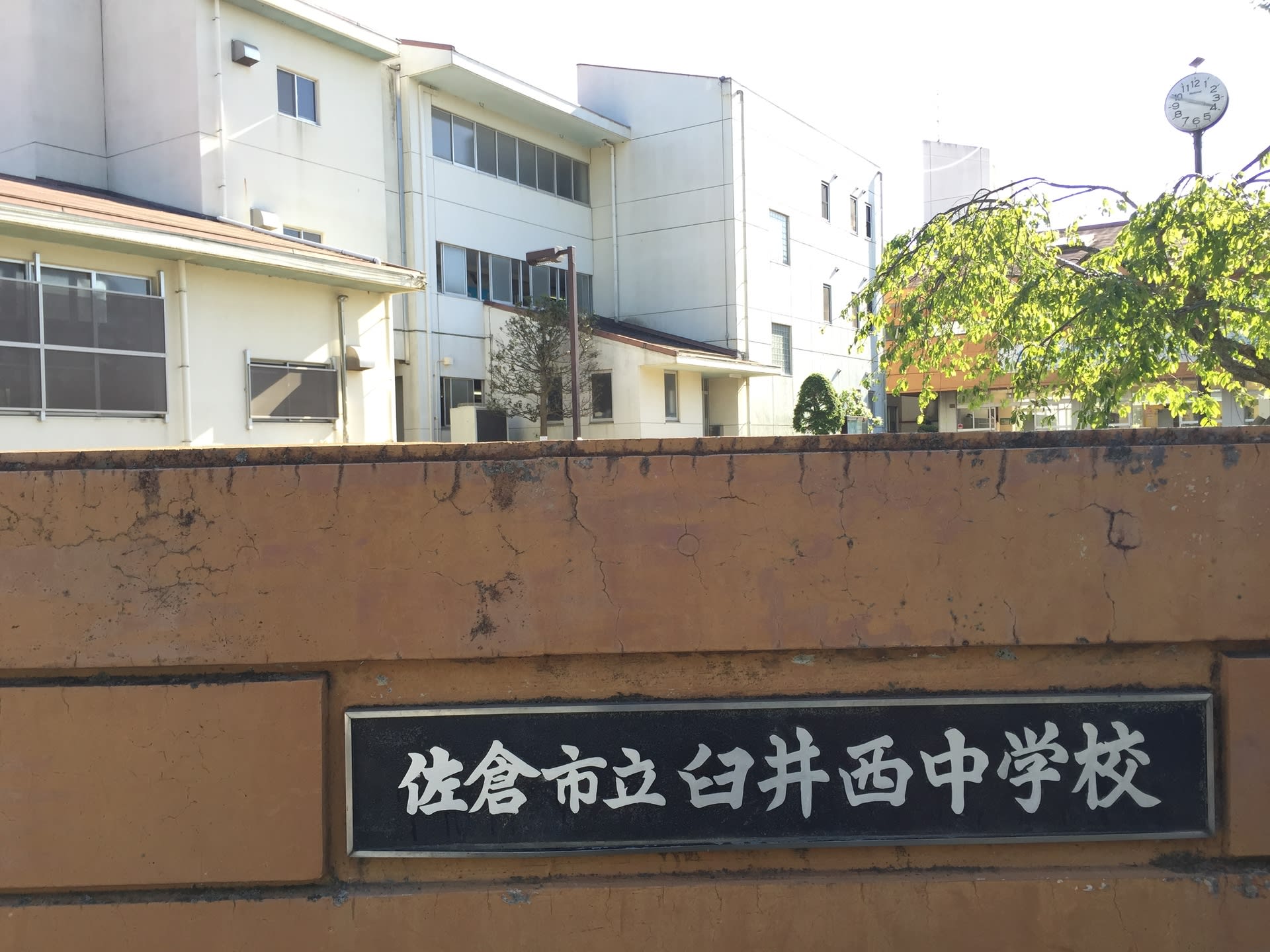 朝ドラモネの主題歌bump Of Chickenゆかりの タンポポ丘 宿内砦 中世の遺構発掘 困った 助けて応援したい