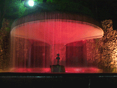 湯けむり広場の夜景