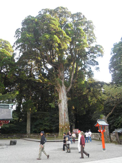 坂元醸造　憧れの黒酢壷畑にご対面  