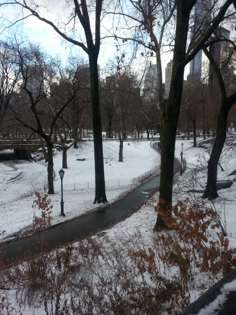 雪の日のマンハッタンお散歩　その１  