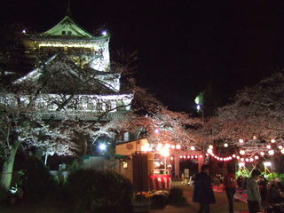 『夜桜』（熱海城・<b>静岡県</b>熱海市）と夜景！（４月５日夜） - 長良川 <b>...</b>