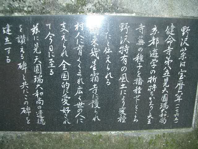  「２　野沢菜発祥の説明」 