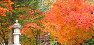 二つの紅葉の名所が一緒に楽しめます。 - <b>長良川温泉</b> ホテルパーク