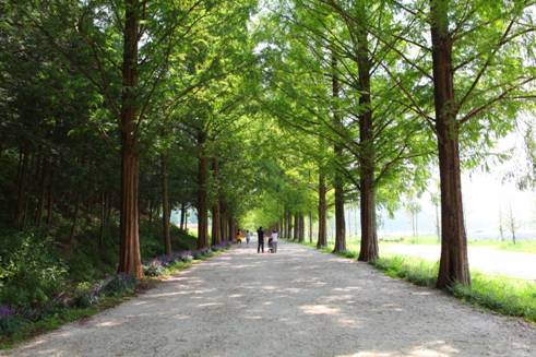 韓国旅行、全羅南道潭陽郡