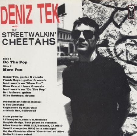 The Streetwalkin' Cheetahs with Deniz Tek