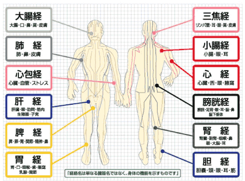 経絡治療の専門書３冊 カイロの本１冊+rallysantafesinooficial.com