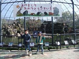 <b>京都市動物園</b>へ行ってきました! - はたやすのお米日記