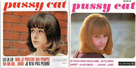 pussy cat