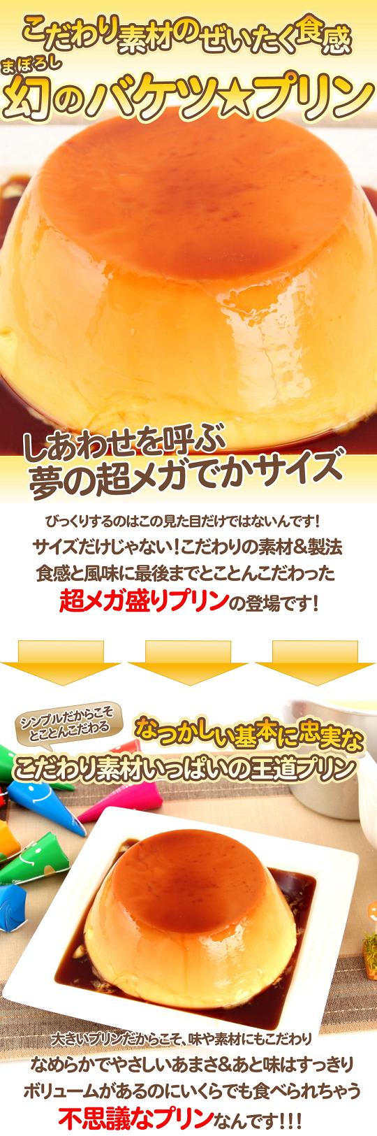 超メガサイズのバケツぷりん1リットル!