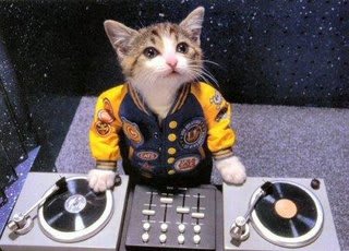 猫DJ  