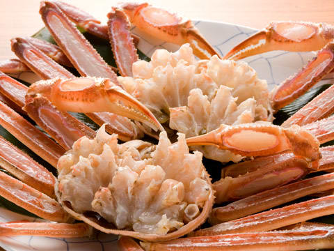 浜坂産松葉蟹