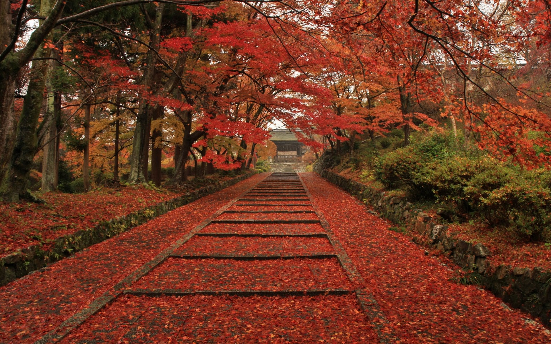 京都の紅葉 毘沙門堂の壁紙 計11枚 壁紙 日々駄文