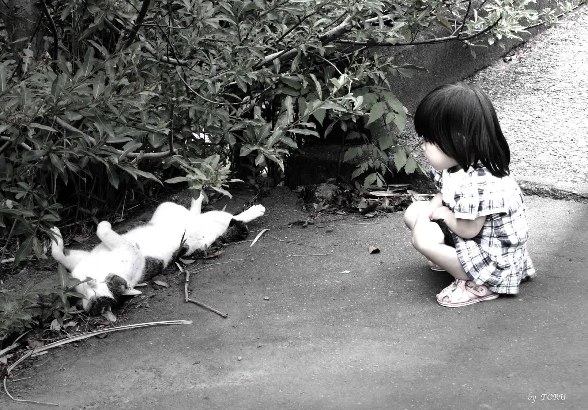 ノラ猫と少女 ～光と影の音色～