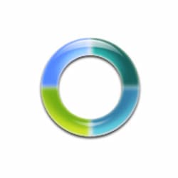 Synergy Software