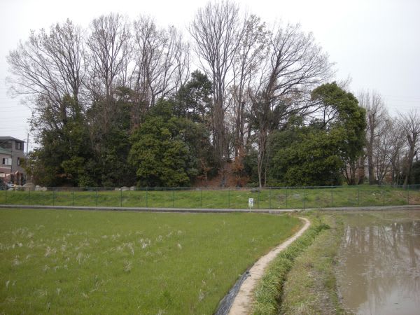 続・竹林の愚人 幣久良神社 考