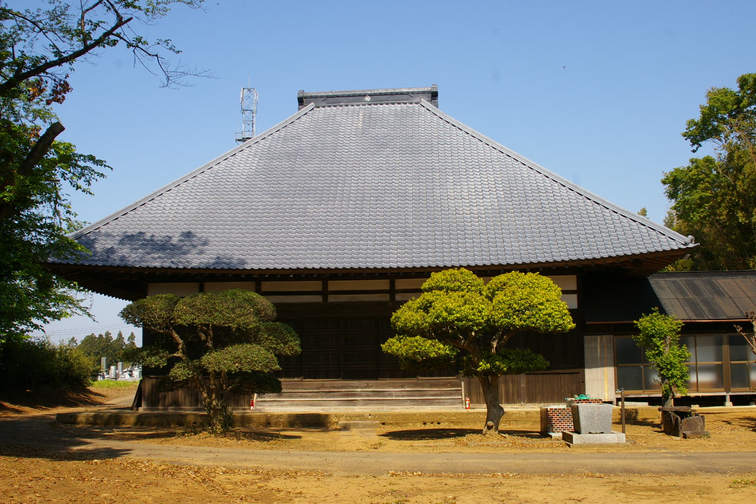 ビーズ | 釣り具|仕掛け|釣り針の(株 ...