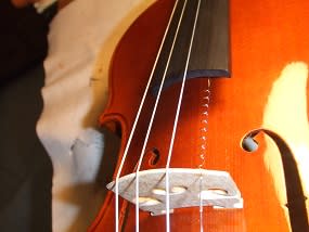 ヴァイオリンのE線おすすめ - クレモナ カルテット