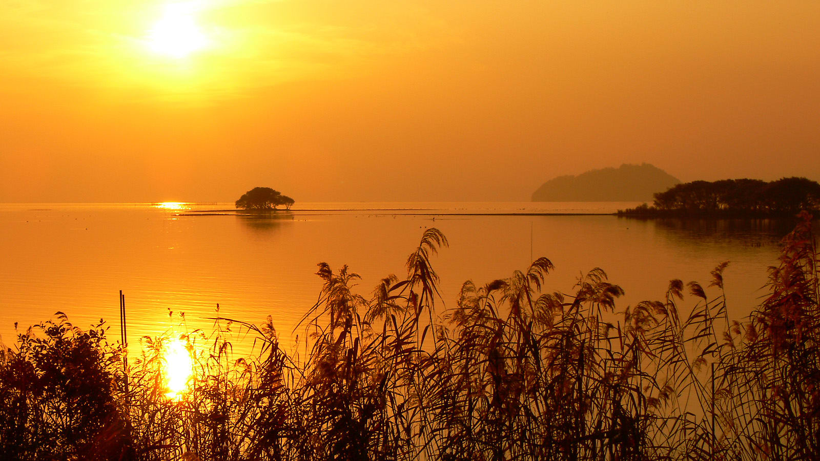 琵琶湖の自然の造形美が造り出す素晴らしさを紹介します。 | ゴリの写真館