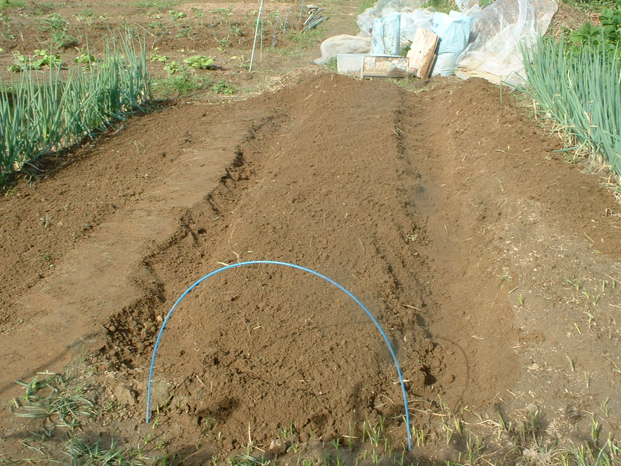 苗床の作り方 ブログ自給自足農民