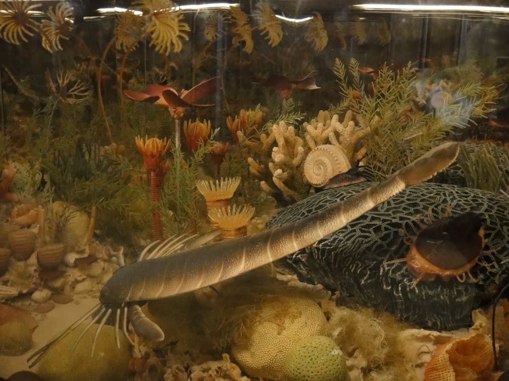 2014/04/27ウィーン自然史博物館 NaturhistorischesMuseumWien