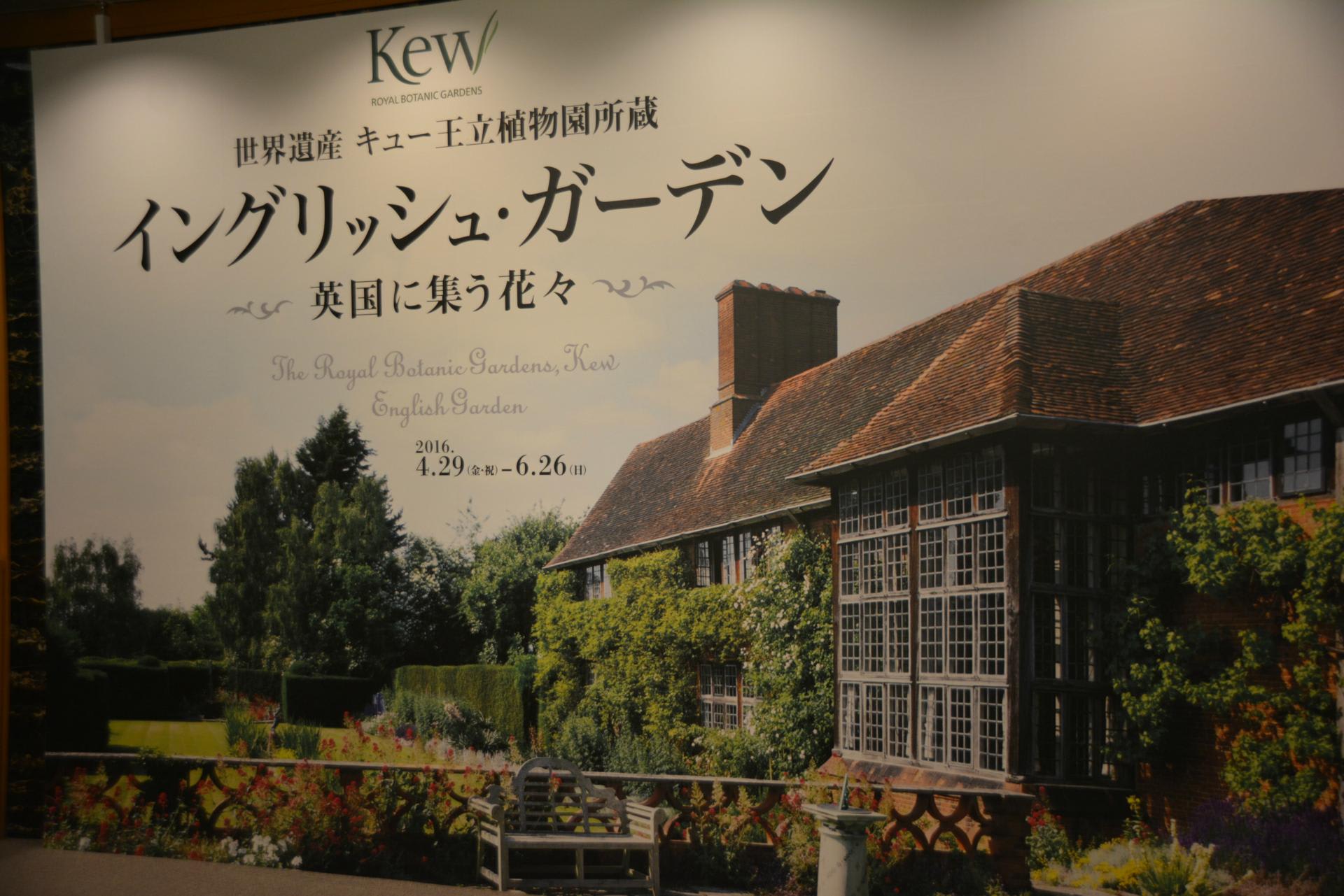 イングリッシュ ガーデン 開催中の京都文化博物館へ 気軽に茶道をしてます