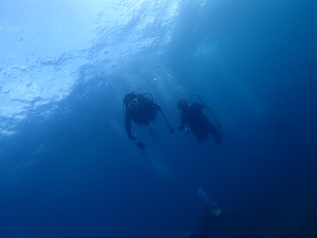 P9150067_640x480 P9150067_640x480