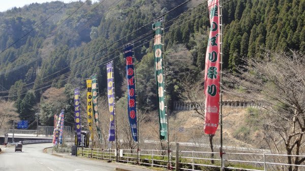 ４月１日から小国町の<b>杖立温泉</b>でこいのぼり祭りが始まりました - <b>熊本</b> <b>...</b>
