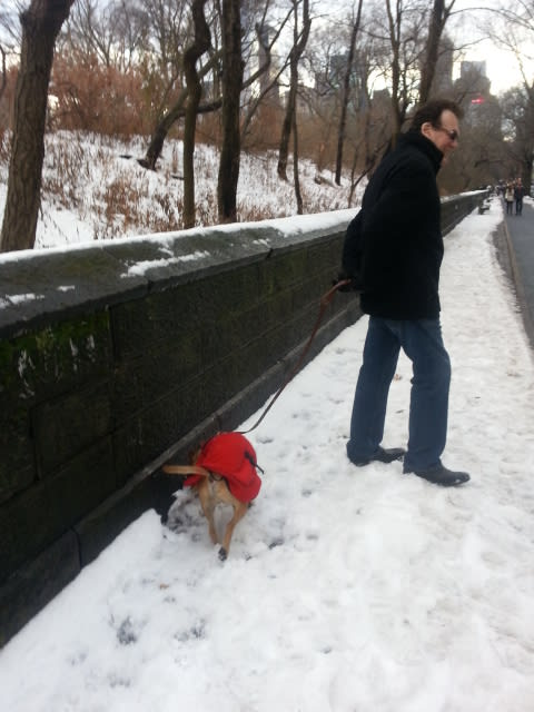 雪の日のマンハッタンお散歩　その１  