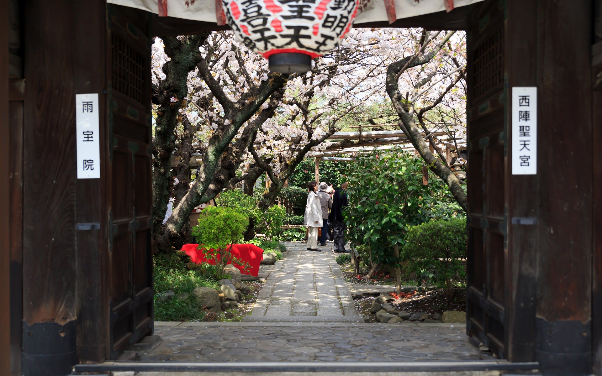 15年春の京都 雨宝院の壁紙 計30枚 壁紙 日々駄文