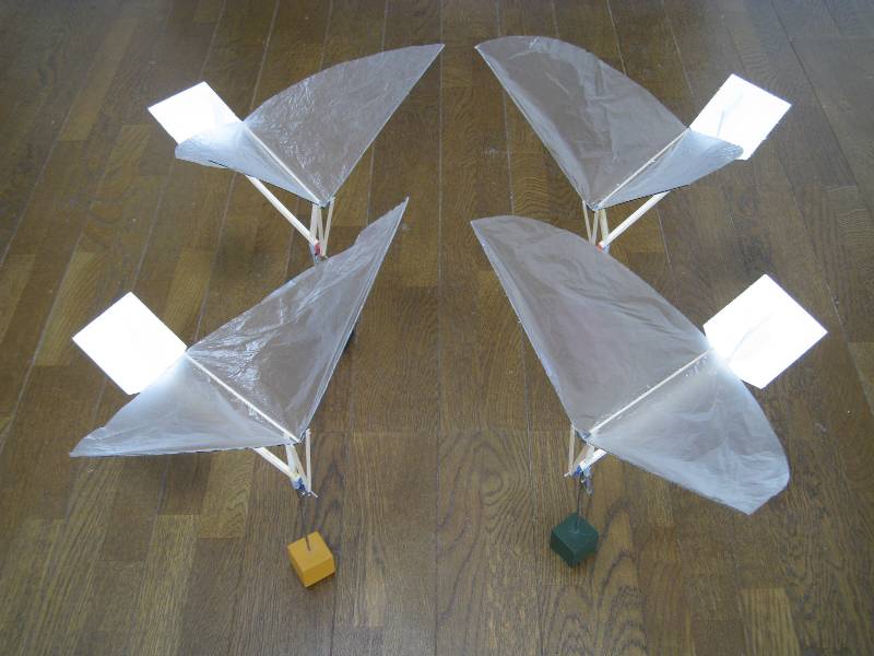 先祖返り - 羽ばたき飛行機製作工房