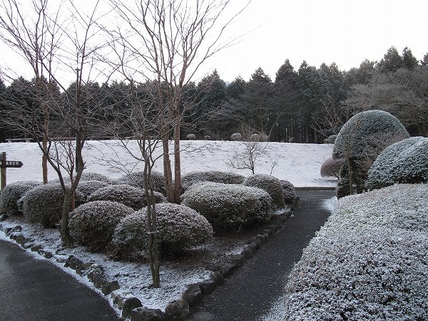 凍っていました - <b>箱根</b>高原ホテルスタッフブログ