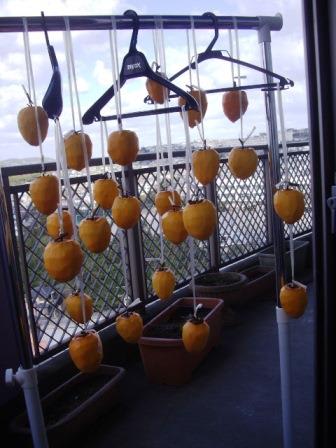 平成２７年１１月２７日　干し柿を作りました。