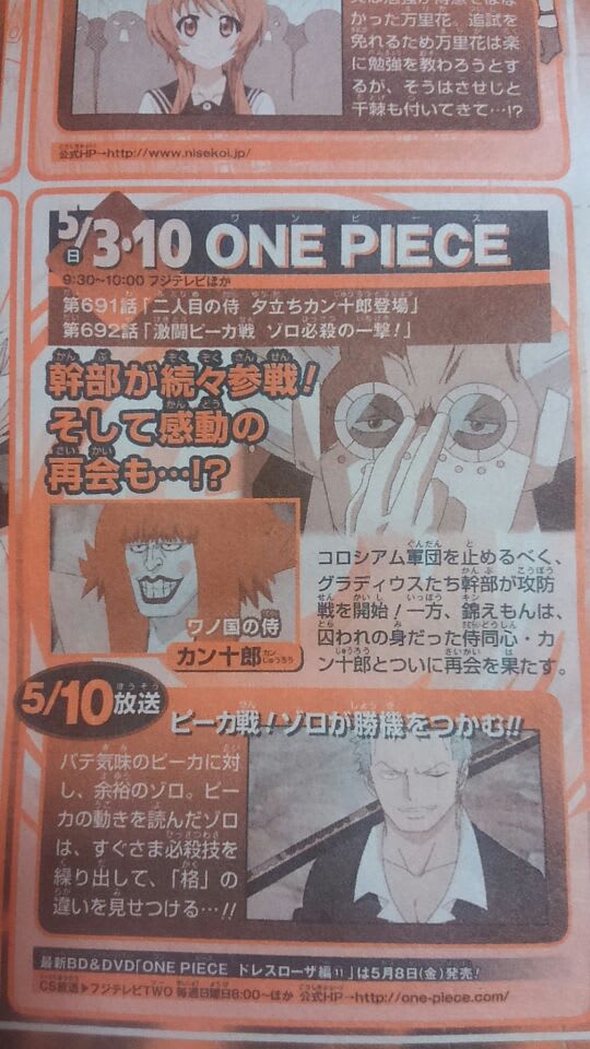 One Piece 第692話 激闘ピーカ戦 ゾロ 絵日記綺譚 Bloguru