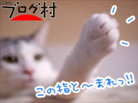 にほんブログ村 猫ブログ 完全室内飼