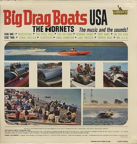hornets